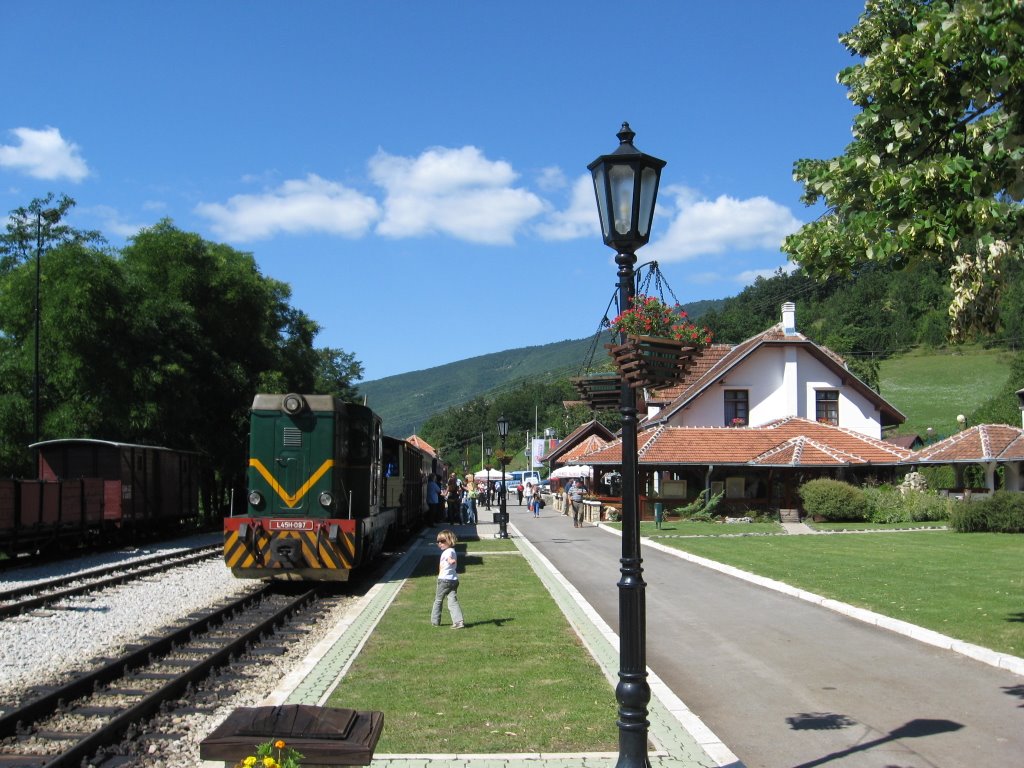 2018/07/images/tour_326/mokra gora train.jpg